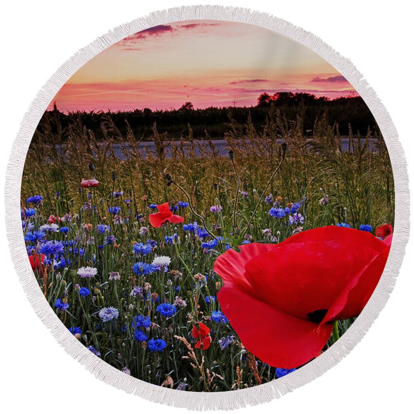 Flowers Round Beach Towel featuring the photograph Bachelor Buttons And Poppies by Randall Branham