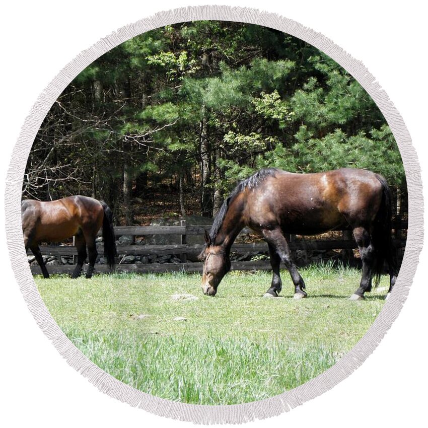 Horse Photography Round Beach Towel featuring the photograph Beautiful Geldings Grazing by Kim Galluzzo