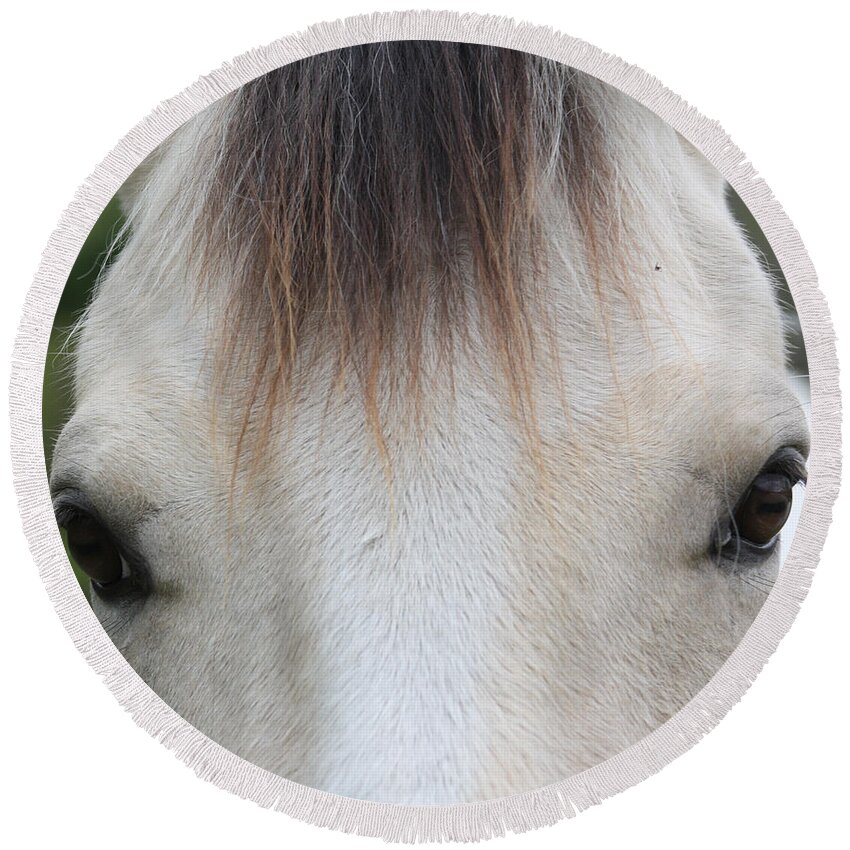 Horse Round Beach Towel featuring the photograph Beauty In The Eyes by Kim Galluzzo