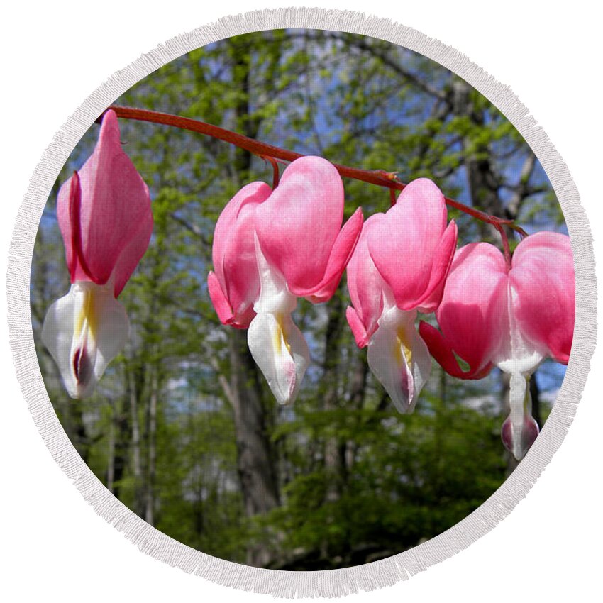 Pink Bleeding Hearts Round Beach Towel featuring the photograph Beauty In The Light by Kim Galluzzo