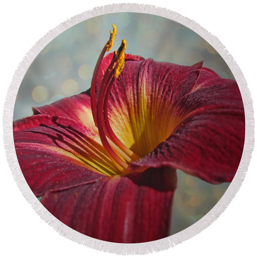 Nature Round Beach Towel featuring the photograph Big Red by Debbie Portwood