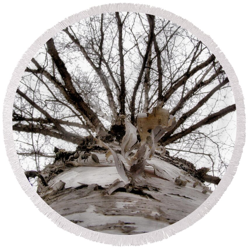 Birch Tree Round Beach Towel featuring the photograph Birch Tree No. 1 by Angie Rea