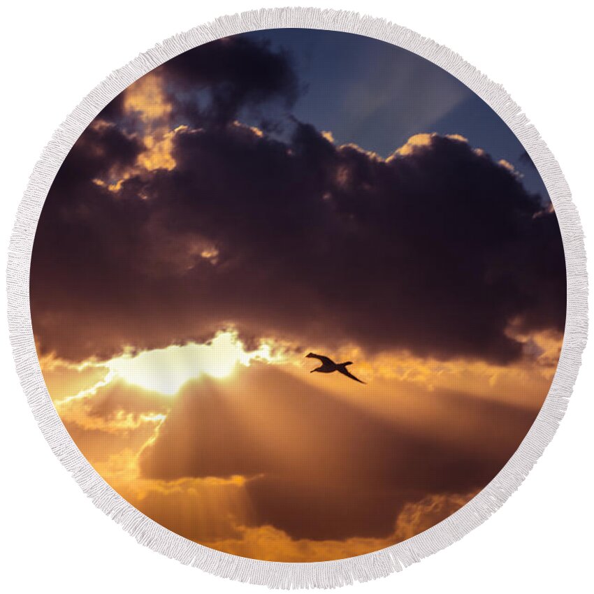Air Round Beach Towel featuring the photograph Bird in sunrise rays by Michael Goyberg