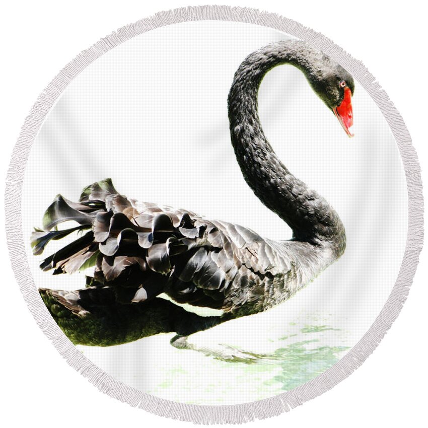 Black Swan Round Beach Towel featuring the photograph Black Swan by Scott Wood