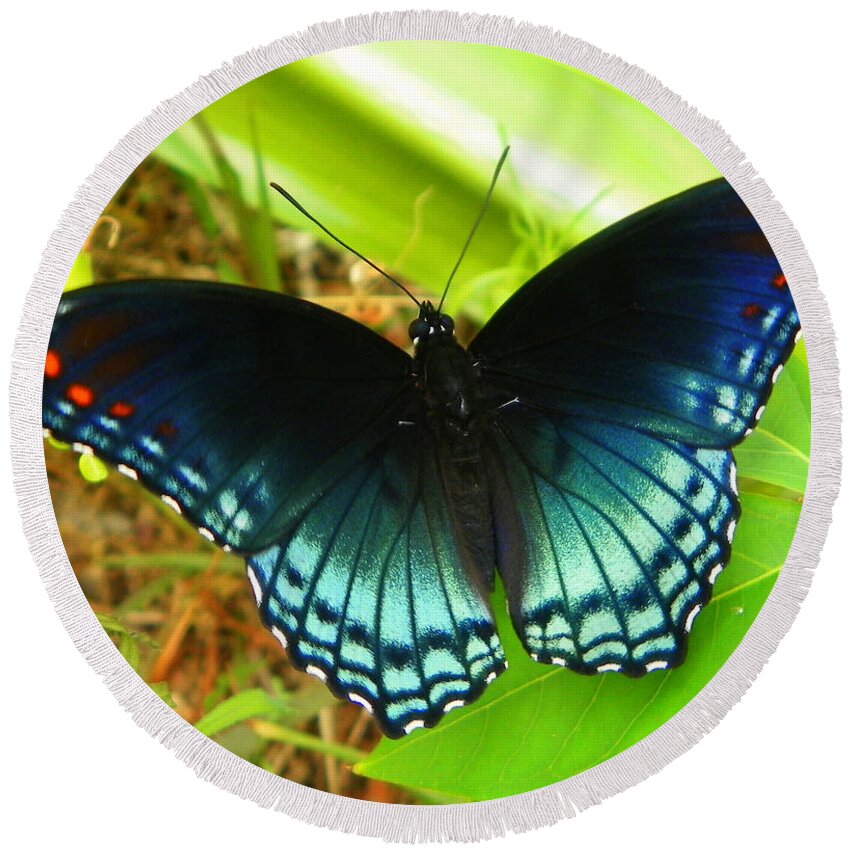 Butterfly. Butterfly Print Round Beach Towel featuring the photograph Blue Butterfly I by Sheri McLeroy