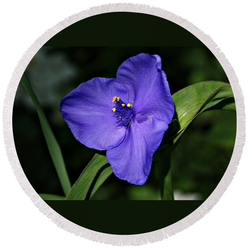 Blue Round Beach Towel featuring the photograph Blue Wildflower 6 by Joe Faherty