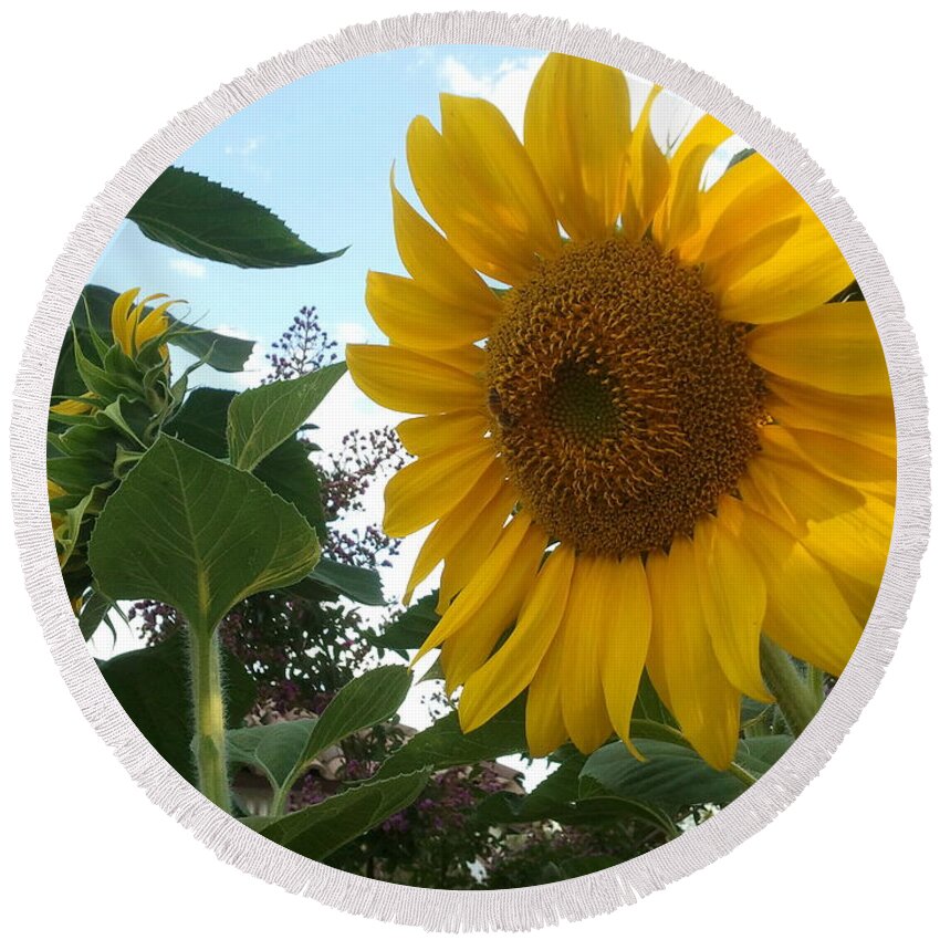 Sunflower Round Beach Towel featuring the photograph Bright Day by Yenni Harrison