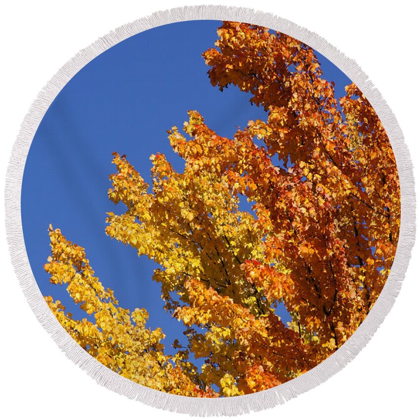 Blue Round Beach Towel featuring the photograph Brilliant Fall Color and Deep Blue Sky by Mick Anderson