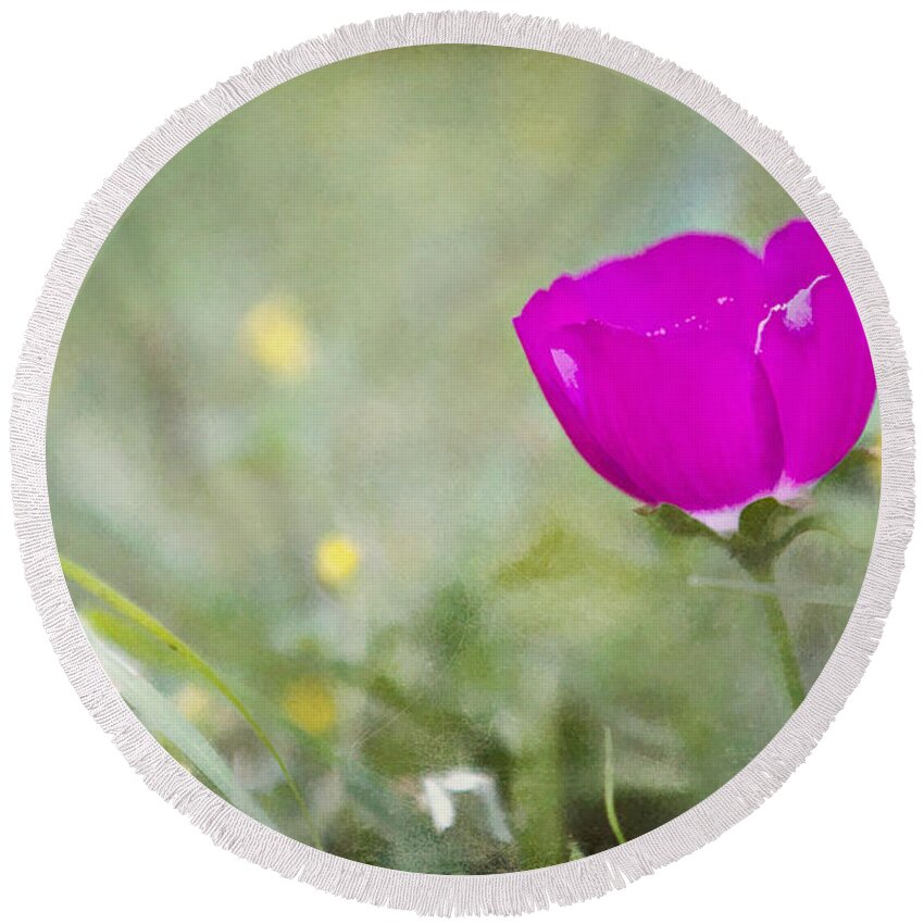 callirhoe Involucrata Round Beach Towel featuring the photograph Buffalo Rose by Lana Trussell
