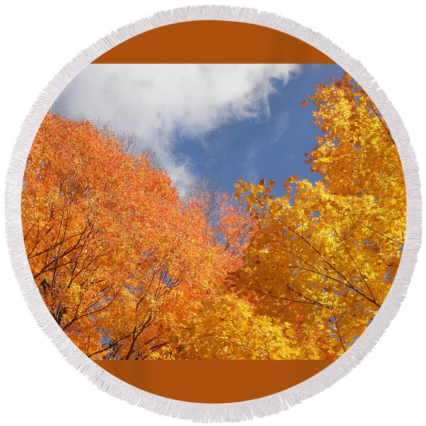 Leaves Round Beach Towel featuring the photograph Bursts Of Fall by Kim Galluzzo
