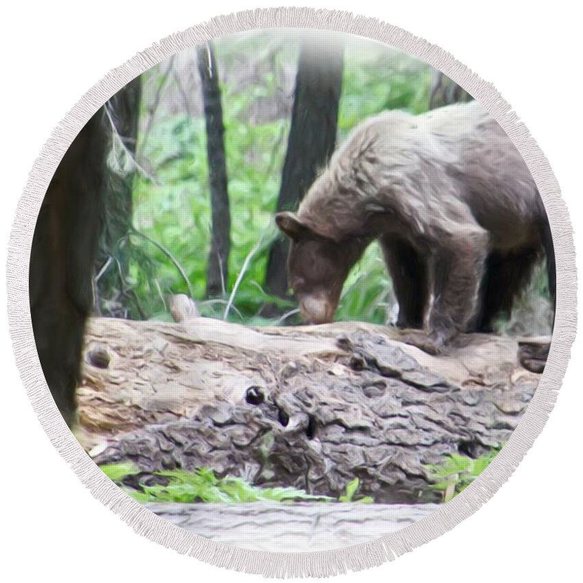 California Round Beach Towel featuring the photograph California Brown Bear by Heidi Smith