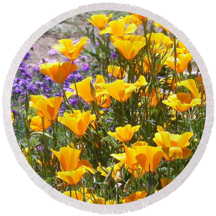 California Round Beach Towel featuring the photograph California Poppies by Carla Parris