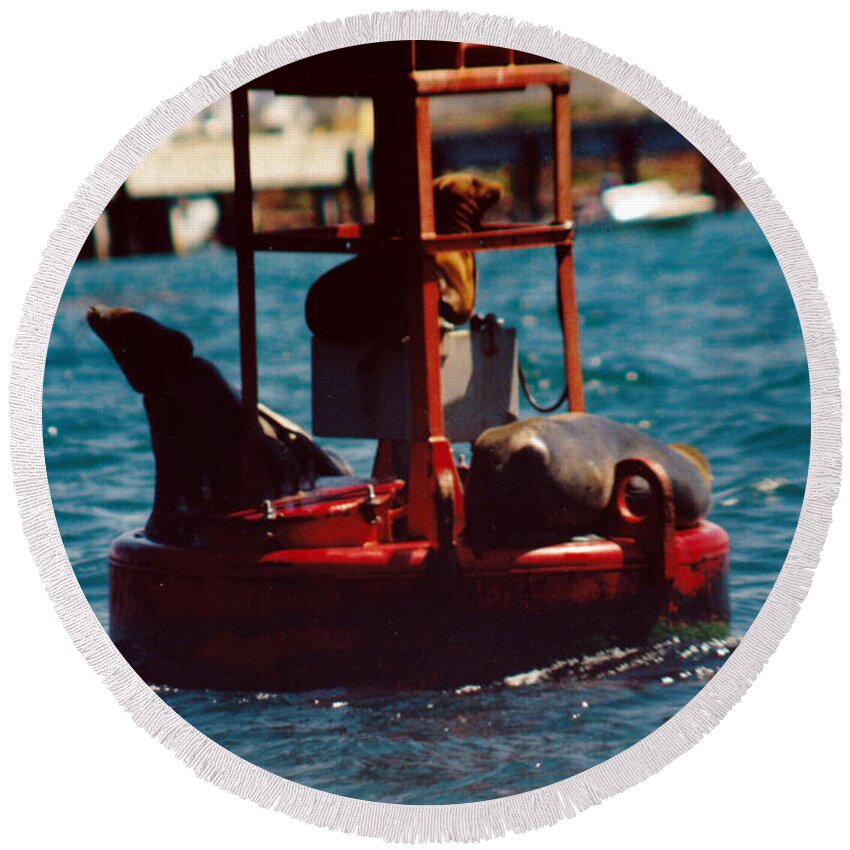 California Seals On Buoy 10 Resting Round Beach Towel featuring the photograph California Seals on Buoy 10 Resting by Susan Stevens Crosby