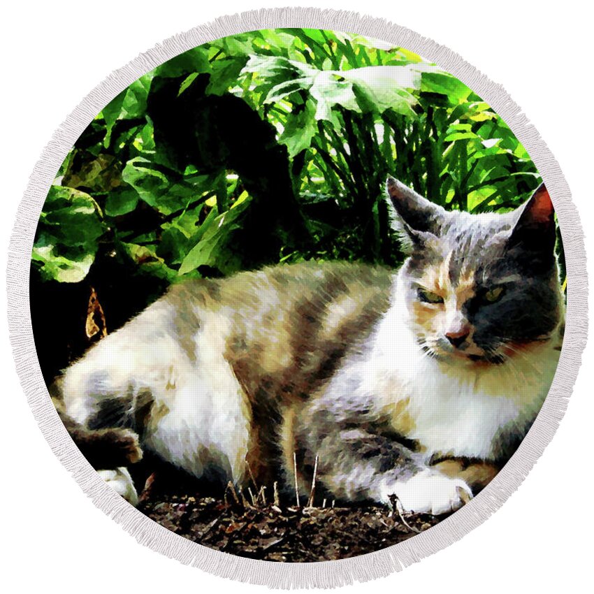 Cat Round Beach Towel featuring the photograph Cat Relaxing in Garden by Susan Savad