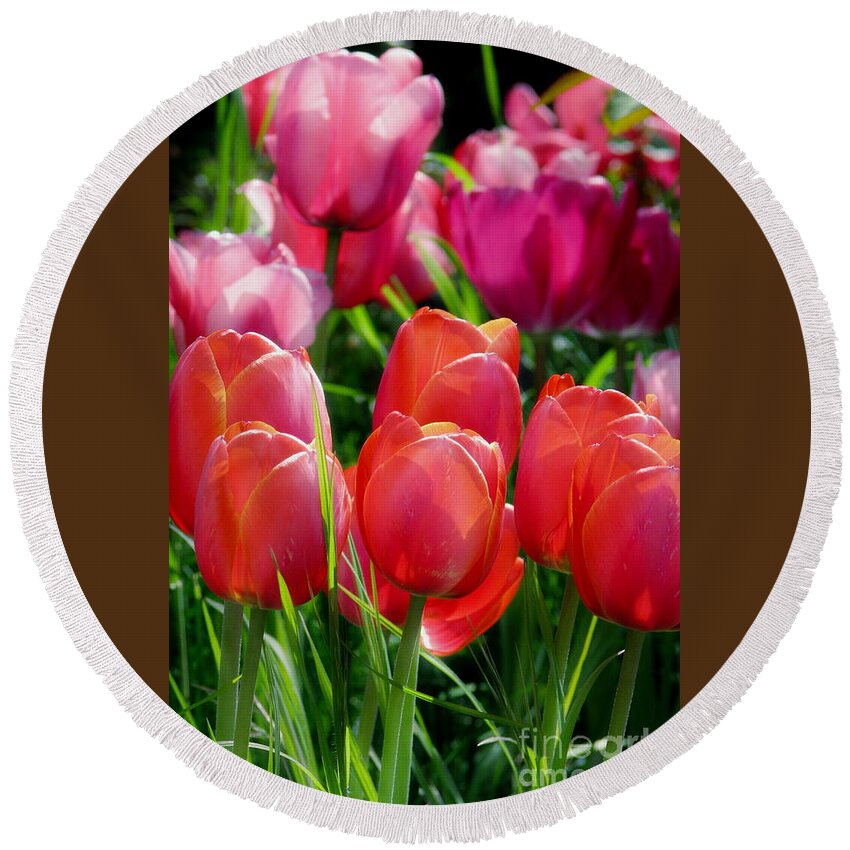 Tulips Round Beach Towel featuring the photograph Celebration by Rory Siegel