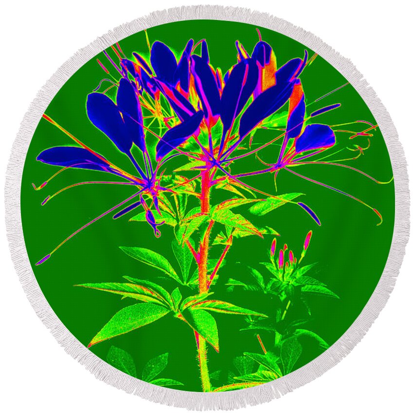 Computer Generated Flower Round Beach Towel featuring the photograph Cleome gone abstract by Kim Galluzzo