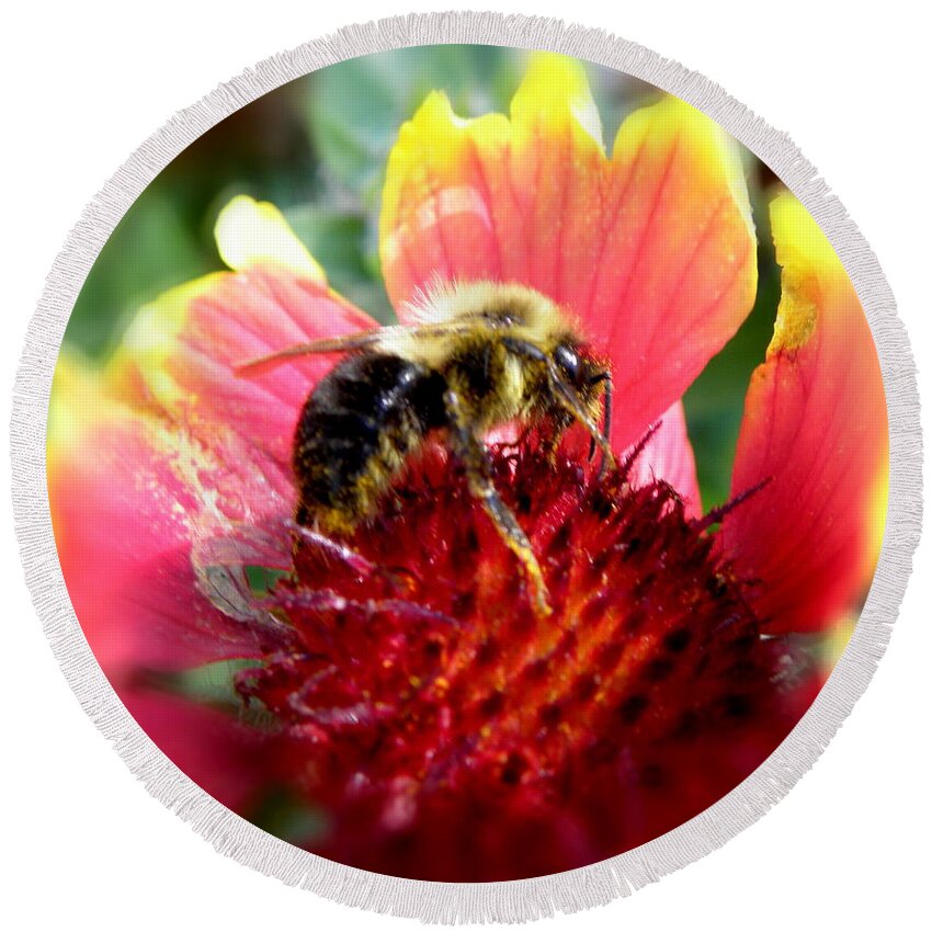 Bee Round Beach Towel featuring the photograph Climb Aboard by Kim Galluzzo