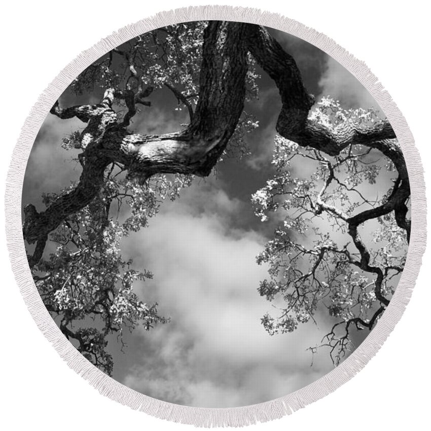 Oak Tree Round Beach Towel featuring the photograph Cloudy Oak by Laurie Search