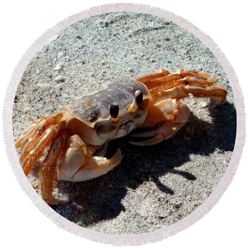 Crab Round Beach Towel featuring the photograph Crab Walk by Ellen Heaverlo