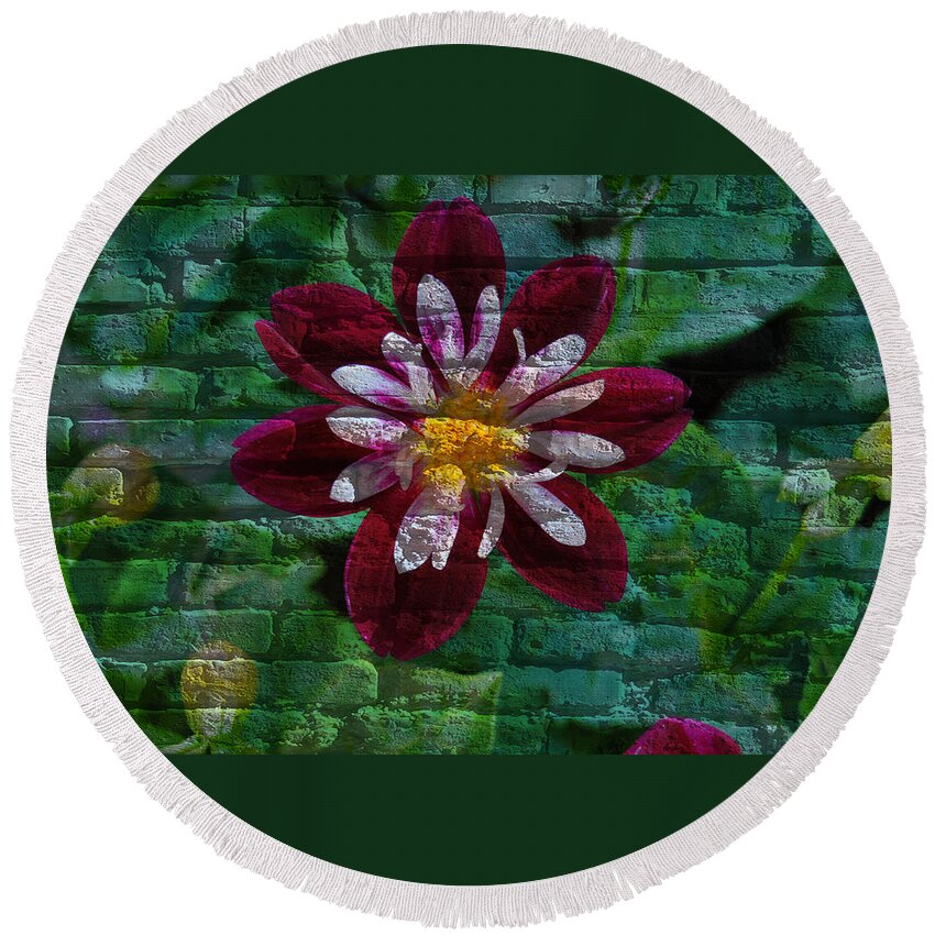 Flora Round Beach Towel featuring the mixed media Crazy flower over brick by Eric Liller