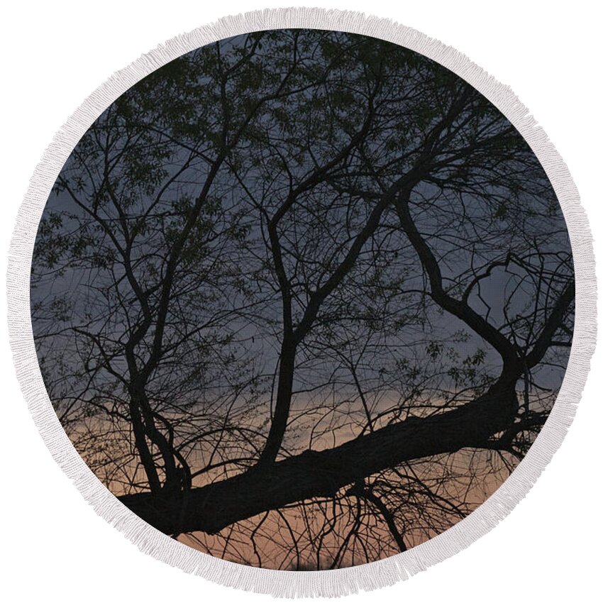 Tree Round Beach Towel featuring the photograph Dawn by William Norton