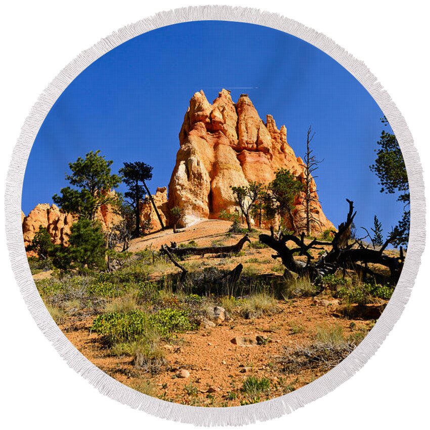 Bryce Canyon National Park Round Beach Towel featuring the photograph Desert Landscape by Greg Norrell