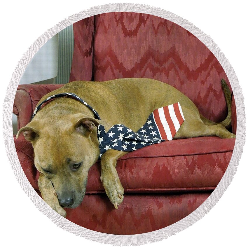 Dog Round Beach Towel featuring the photograph Dog Tired by Renee Trenholm