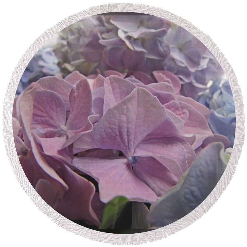 Nature Round Beach Towel featuring the photograph Dream Hydrangeas by Debbie Portwood