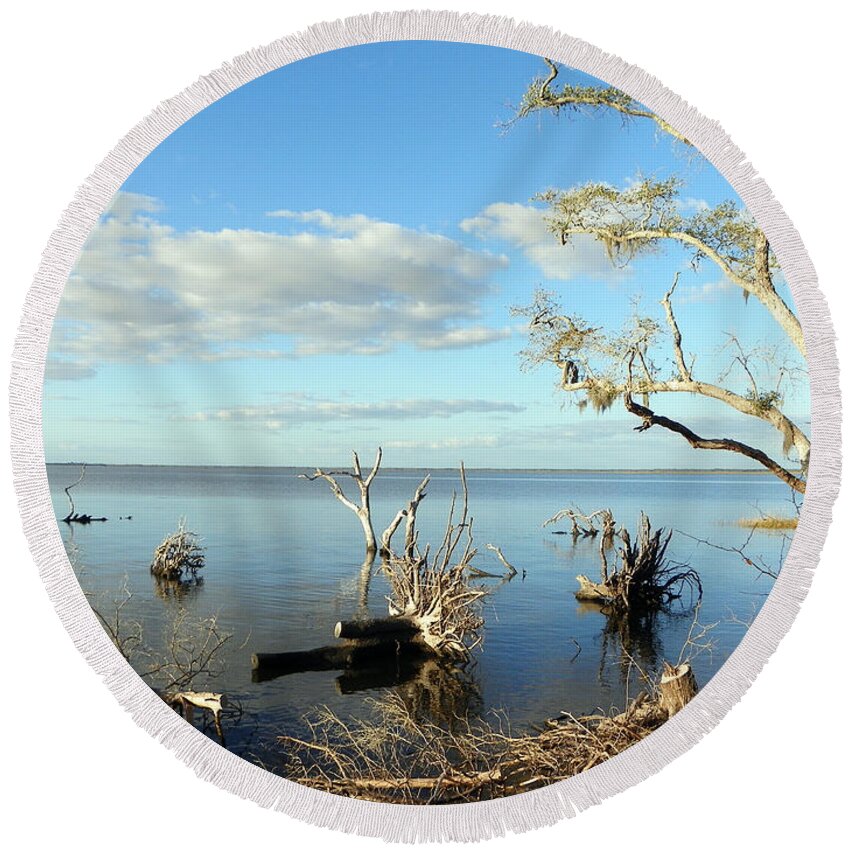 Driftwood Round Beach Towel featuring the photograph Driftwood Landscape 1 by Sheri McLeroy