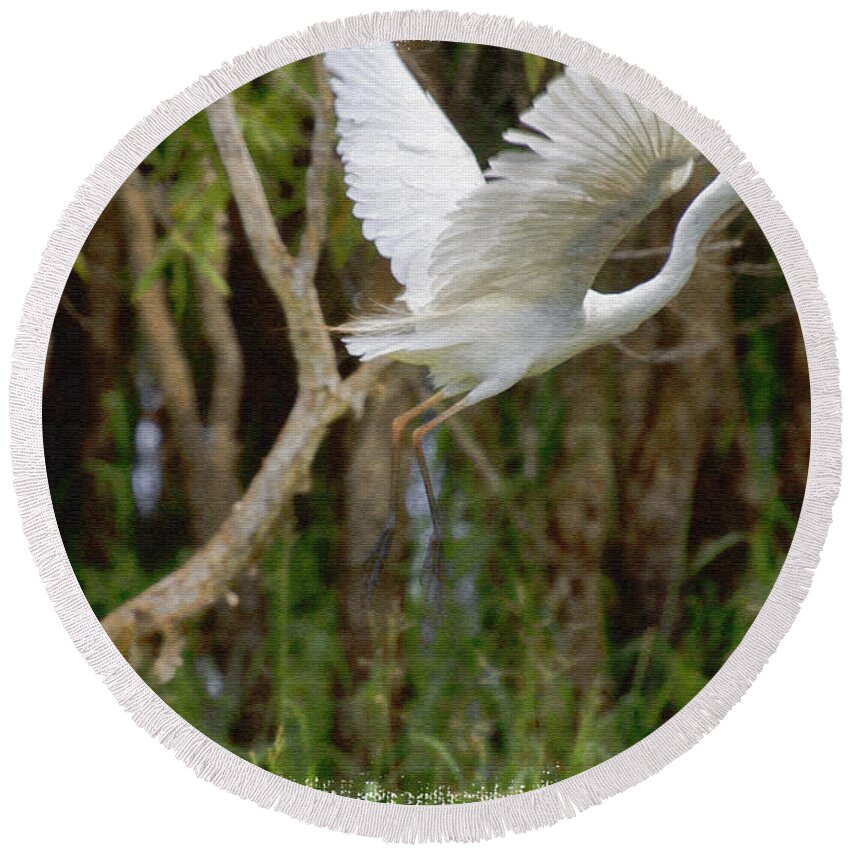 Egret Round Beach Towel featuring the photograph Egret in Flight on Canvas by Douglas Barnard
