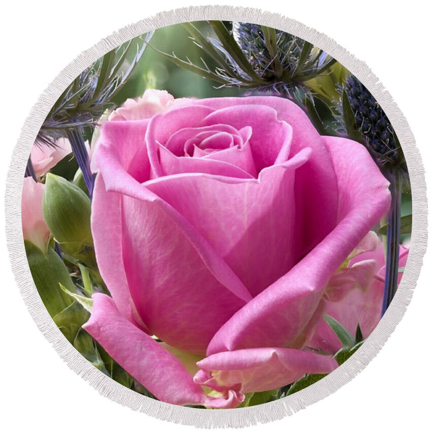Flower Round Beach Towel featuring the photograph English pink rose close up by Simon Bratt