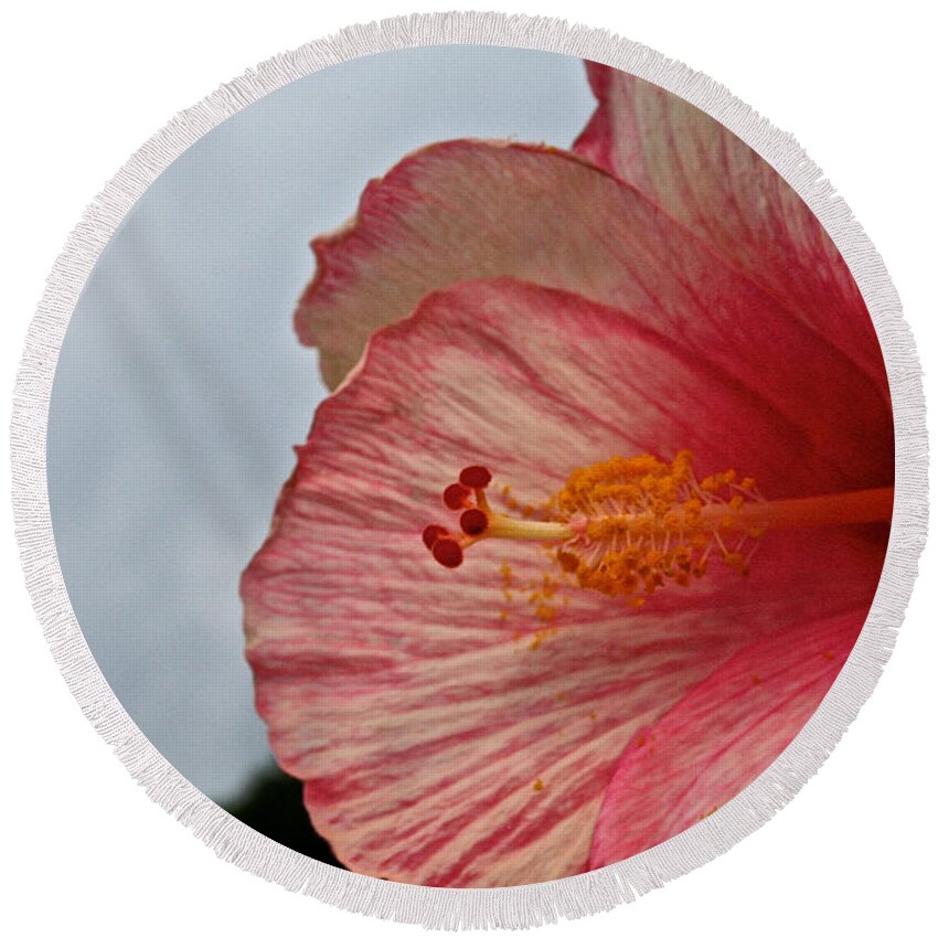 Floral Round Beach Towel featuring the photograph Facing Forward by Susan Herber
