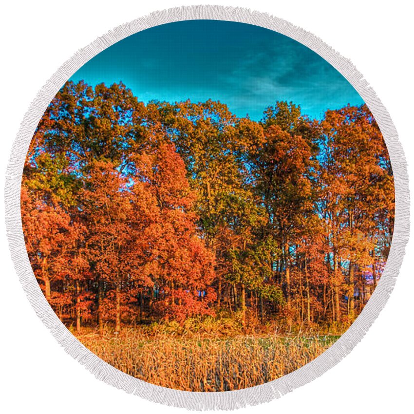 Tonemapped Round Beach Towel featuring the photograph Fall Beauty by Mark Dodd