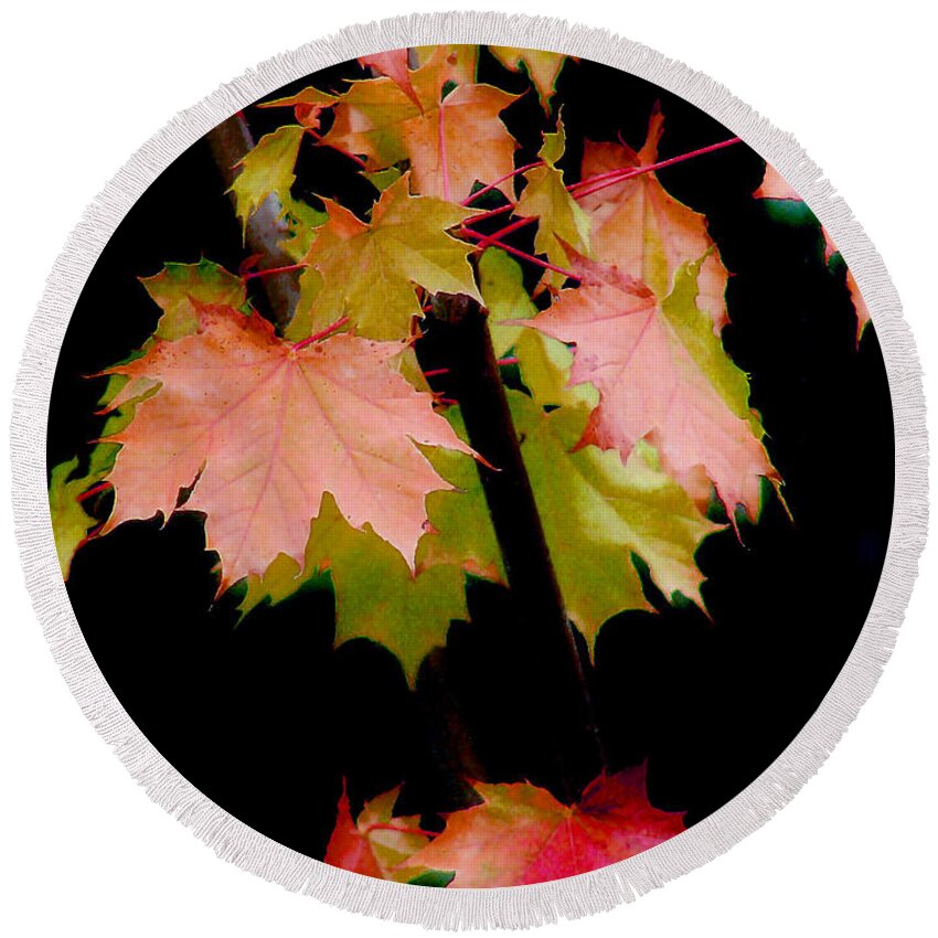 Leaf Round Beach Towel featuring the photograph Fall Grandeur by Rory Siegel