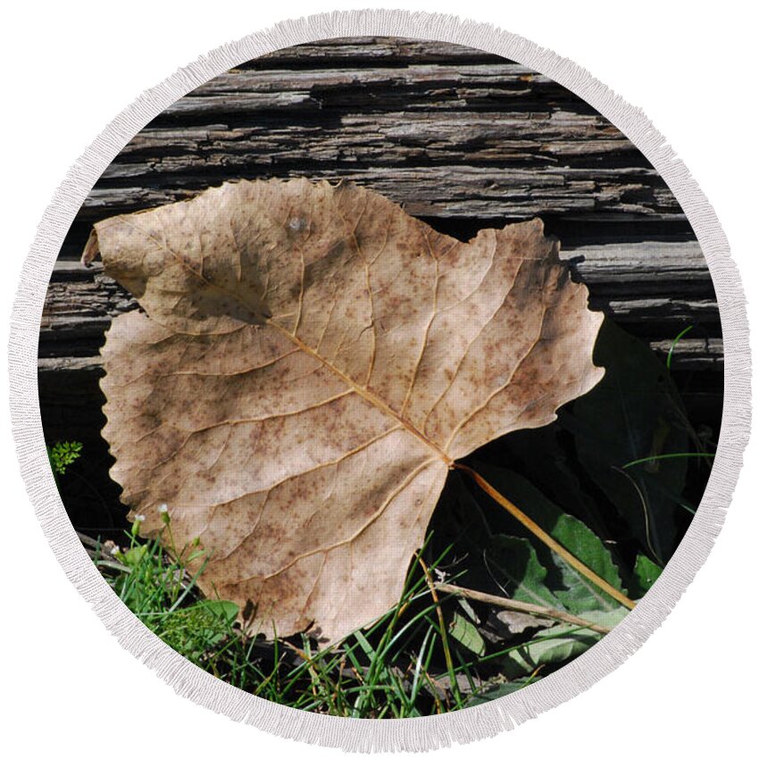 Leaf Round Beach Towel featuring the photograph Fallen Leaf by Grace Grogan