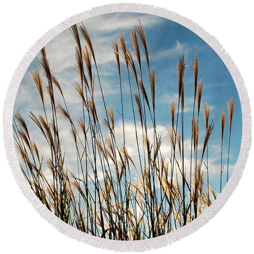 Grasses Round Beach Towel featuring the photograph Flare to the Sky by Mark Dodd