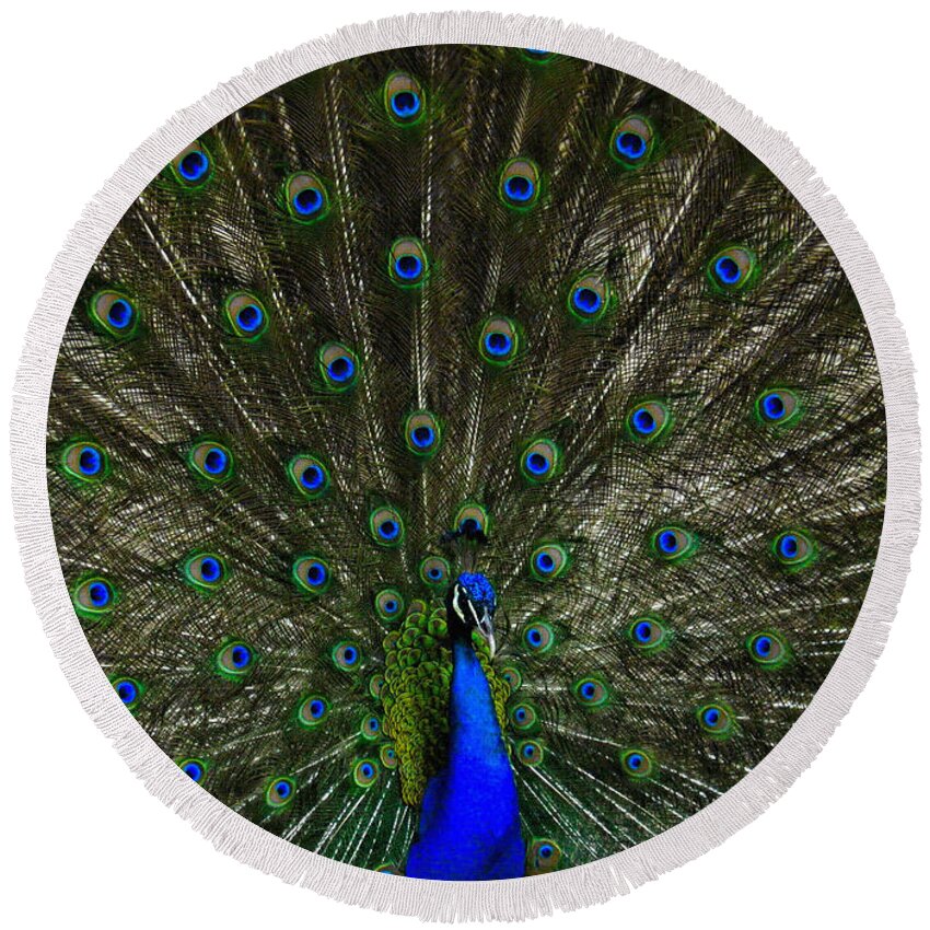  Peacock Round Beach Towel featuring the photograph Flaunting the Colours by Elaine Manley