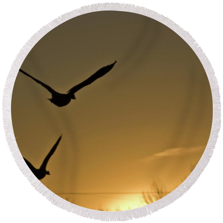 Geese Round Beach Towel featuring the photograph Flight At Sunset by Ed Peterson