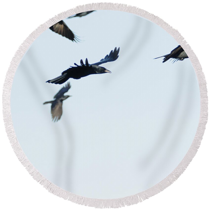 Flock Round Beach Towel featuring the photograph Flock of crows by Bradford Martin
