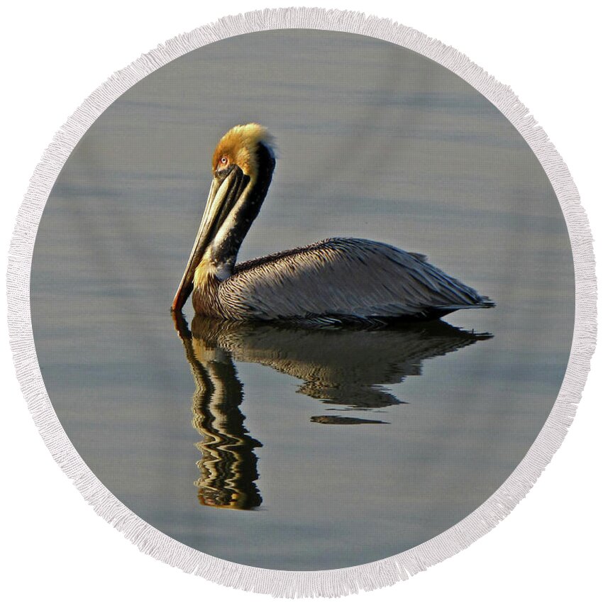 Nature Round Beach Towel featuring the photograph Florida Pelican by Peggy Urban