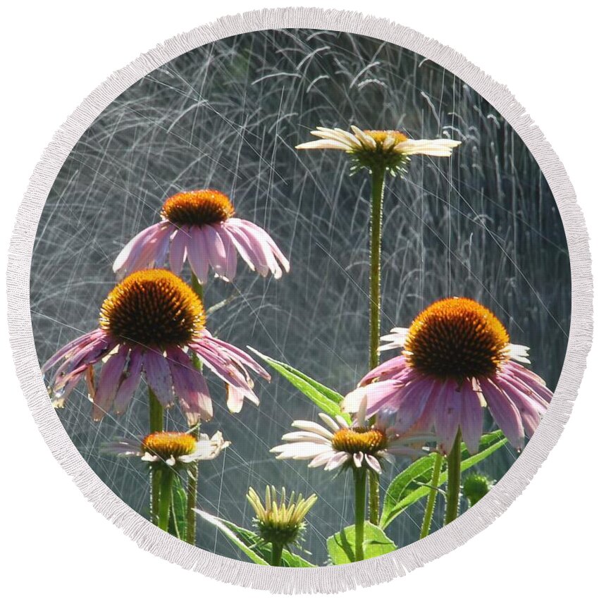 Echinacea Round Beach Towel featuring the photograph Flowers in the Rain by Randy J Heath