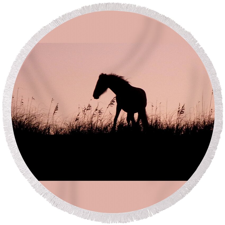 Foal Round Beach Towel featuring the photograph Foal At Sunset by Kim Galluzzo Wozniak