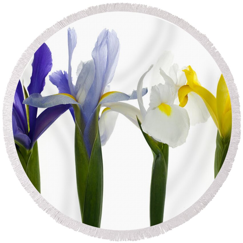 Spring Round Beach Towel featuring the photograph Four Iris by Brad Rickerby