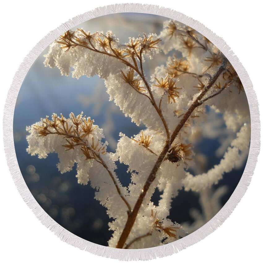 Frost Round Beach Towel featuring the photograph Frosty Dry Wood Aster by Kent Lorentzen