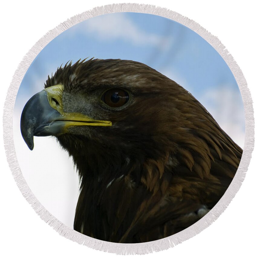 Golden Eagle Round Beach Towel featuring the photograph Golden eagle by Steev Stamford