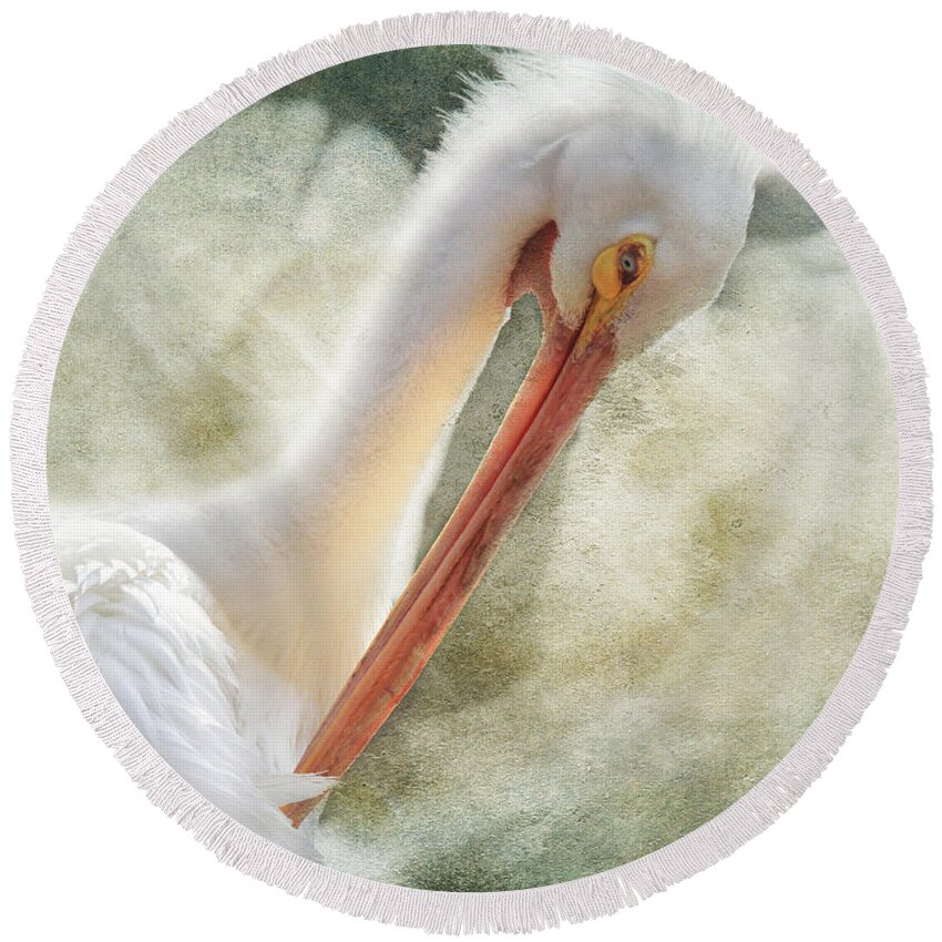Pelicans Round Beach Towel featuring the photograph Good Grooming by Laurie Search