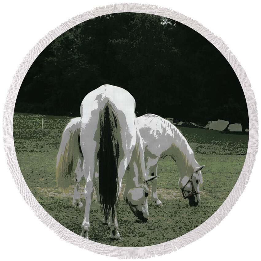 Horses Round Beach Towel featuring the photograph Grazing Friendship by Kim Galluzzo