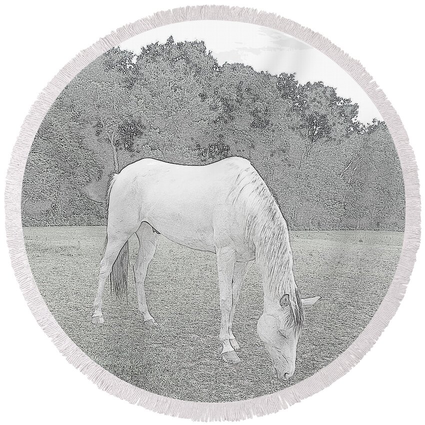 Horse Round Beach Towel featuring the photograph Grazing by Kim Galluzzo
