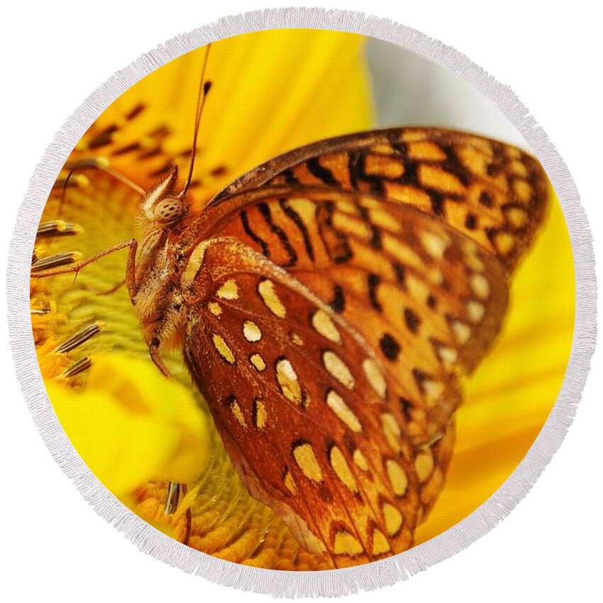 Insects Round Beach Towel featuring the photograph Great Spangled Fritillary by Cheryl Baxter