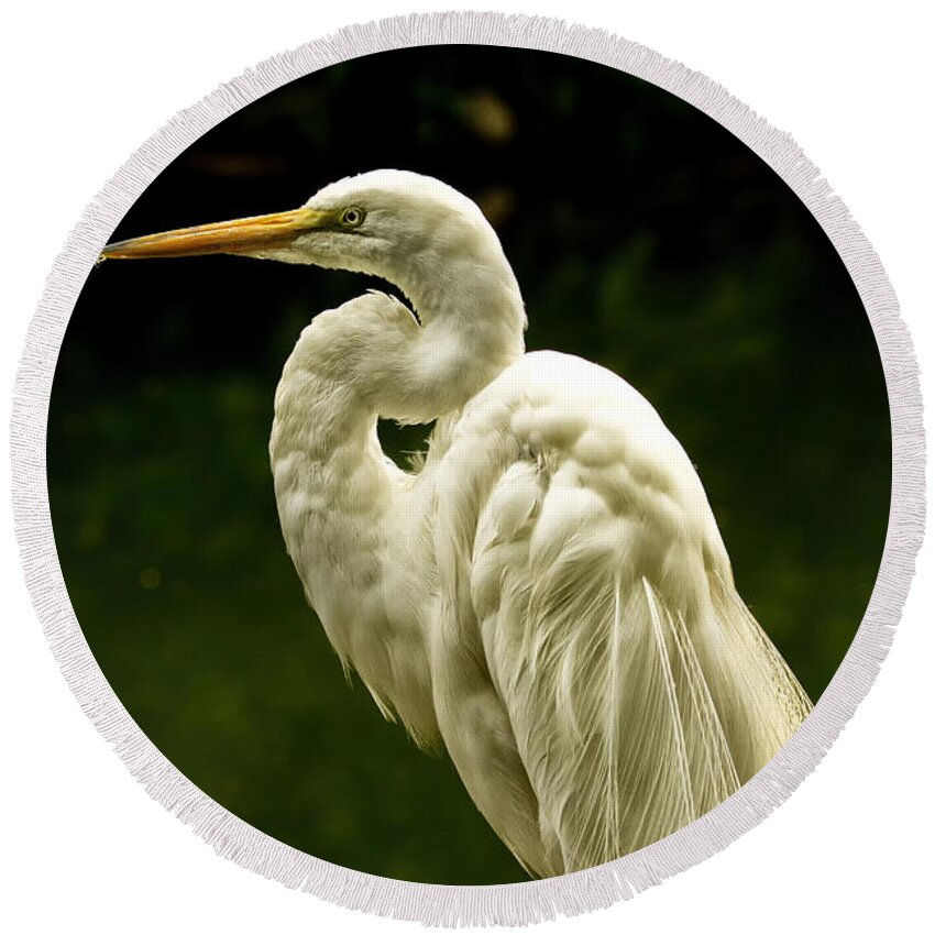 Great Egret Round Beach Towel featuring the photograph Great White Egret Pose by Bill and Linda Tiepelman